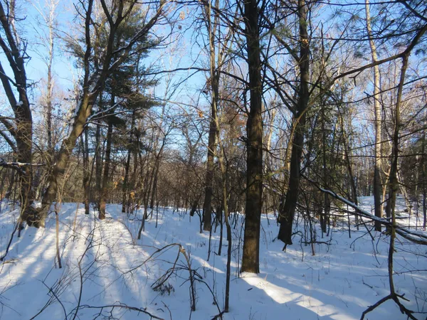 $57,900 | Lot 1 Lincoln Avenue, Amery, WI 54001