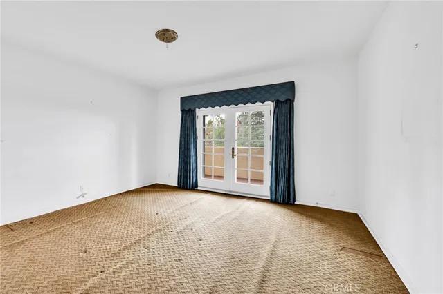 a view of a yard with plants and trees