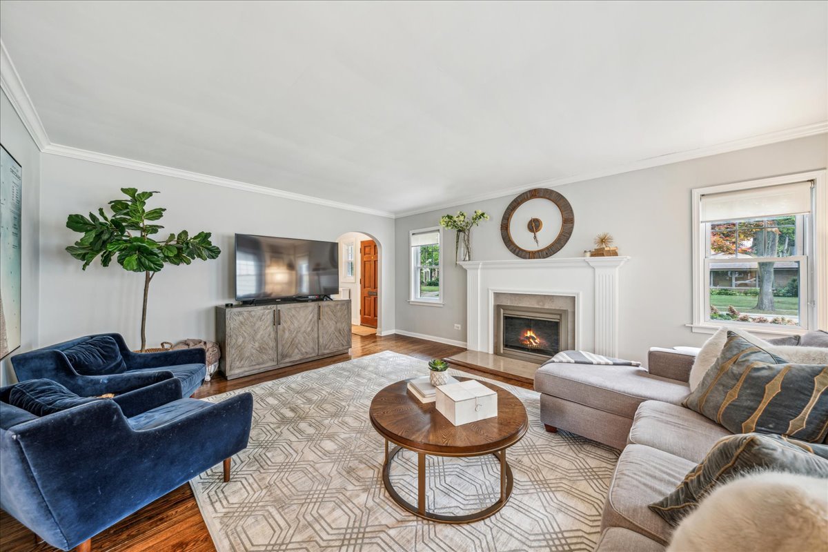 212 E Road Glen Ellyn, IL 60137 - Photo 12 of 42 a living room with furniture a fireplace and a potted plant