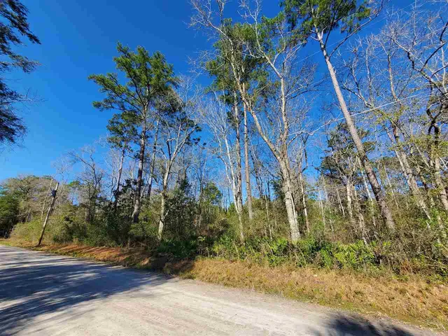 $14,500 | 0 Choctaw Road, Crawfordville, FL 32327