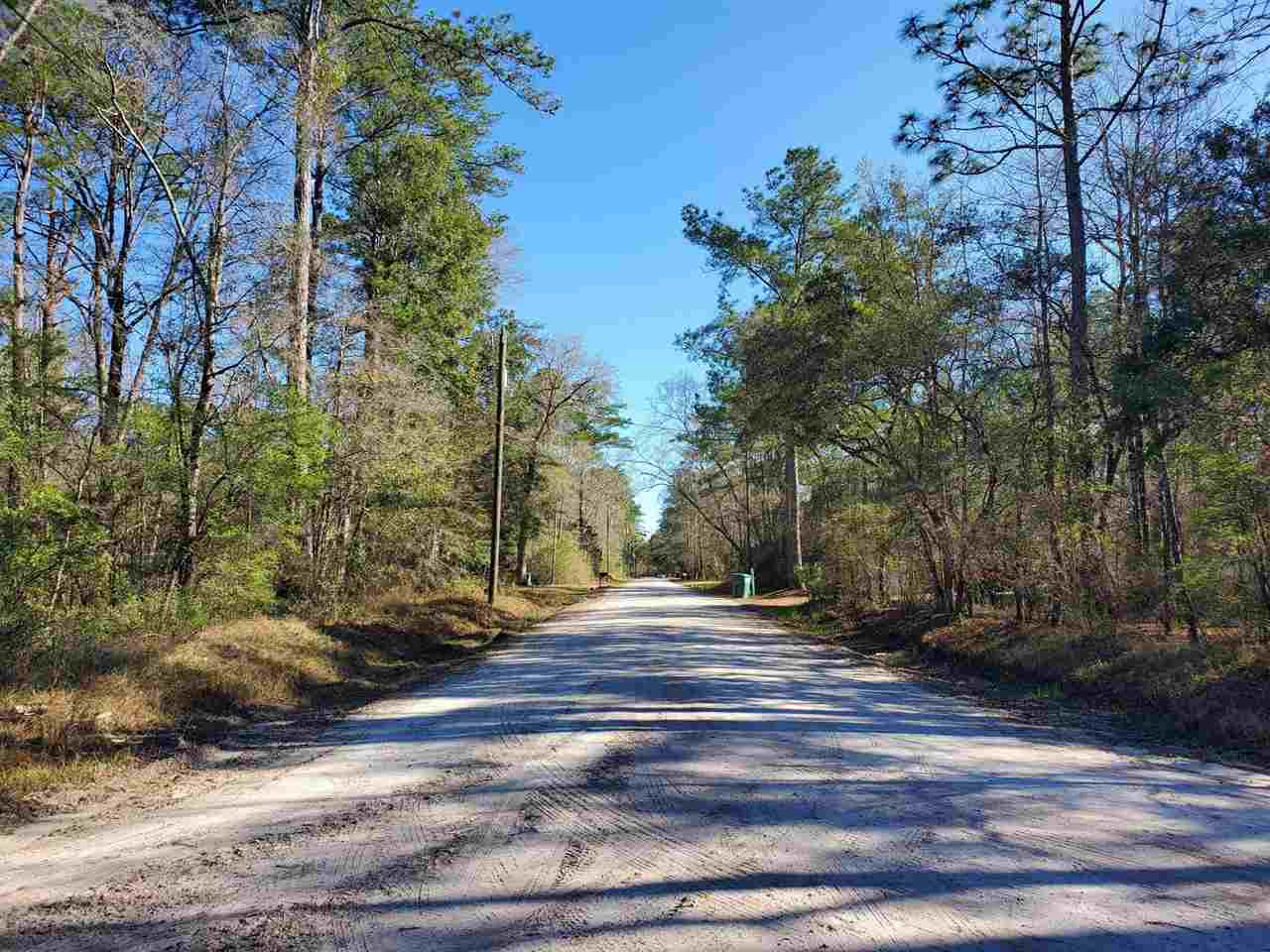 0 Choctaw Road Crawfordville, FL 32327 - Photo 3 of 4