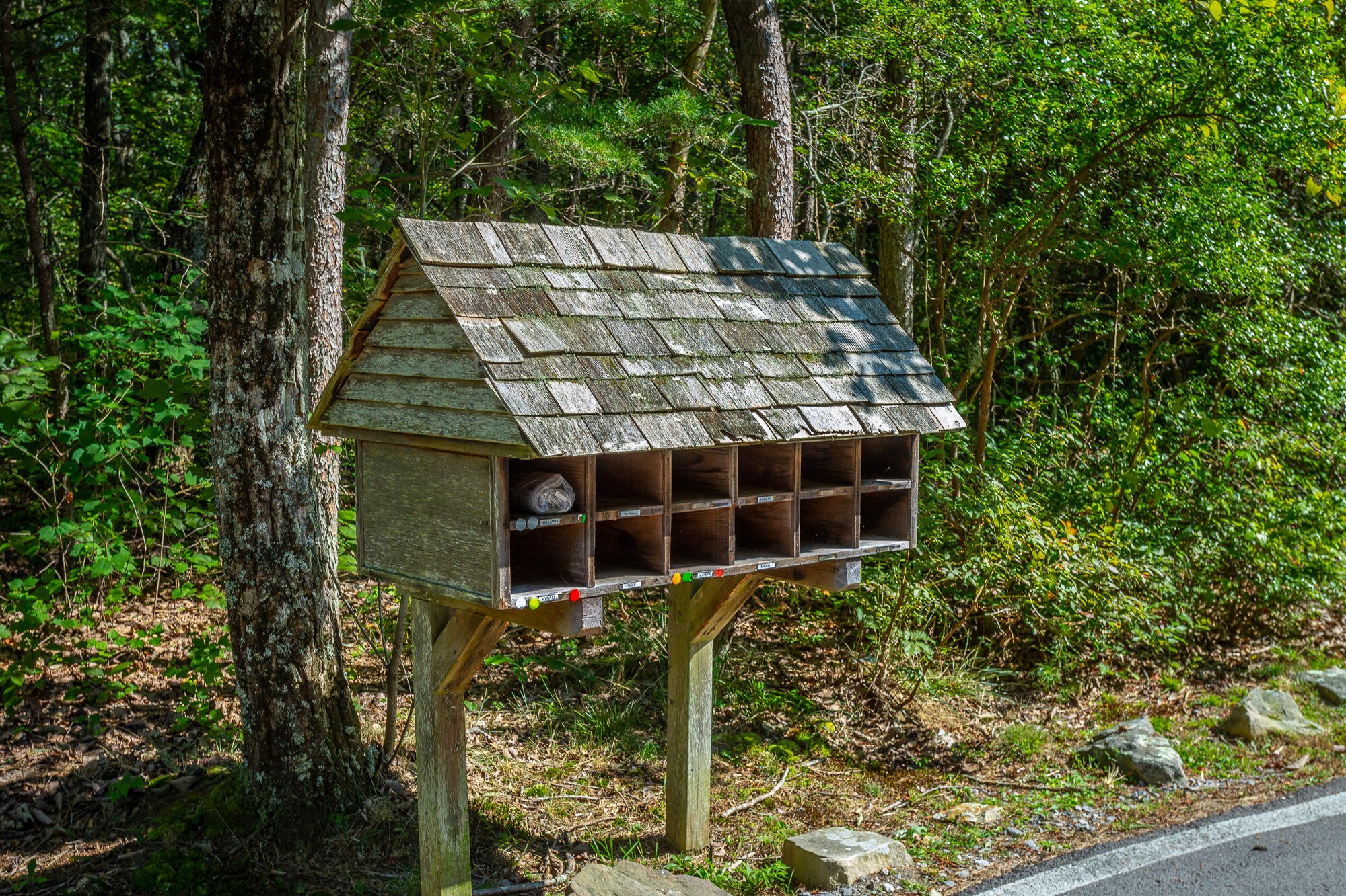 6 Highlands Forest Road Cloudland, GA 30731 - Photo 64 of 100 Gallery Image 64