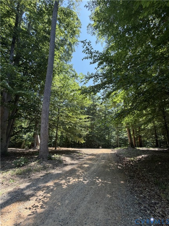 Lot 4 Parrish Road Louisa, VA 23093 - Photo 9 of 11 Entrance to lot 4A from shared gravel driveway