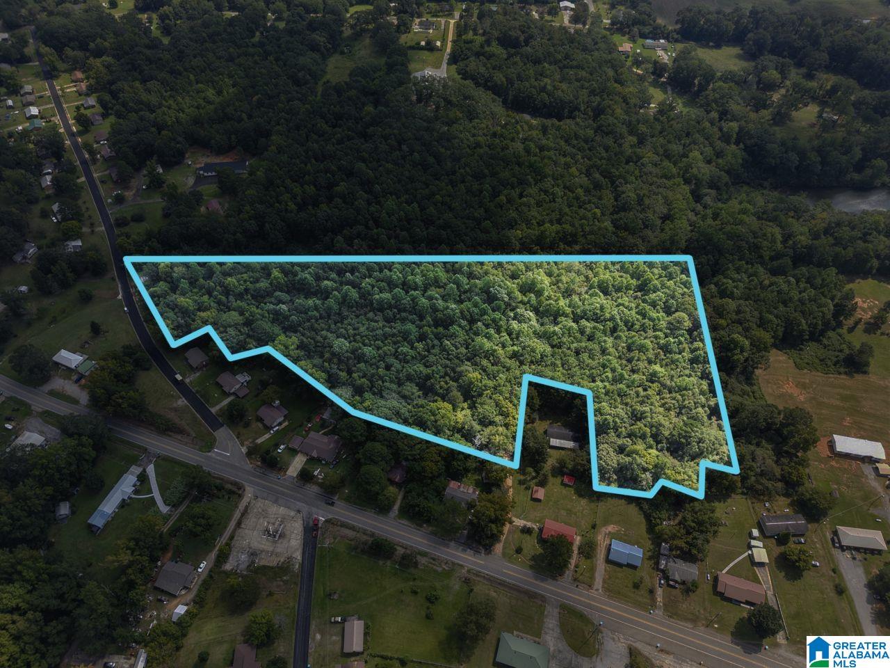 0 Sycamore Street, Unit 1 Jemison, AL 35085 - Photo 6 of 25