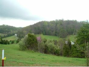1025 Taylor Bridge Road Jonesborough, TN 37659 - Photo 2 of 9 Photo 2