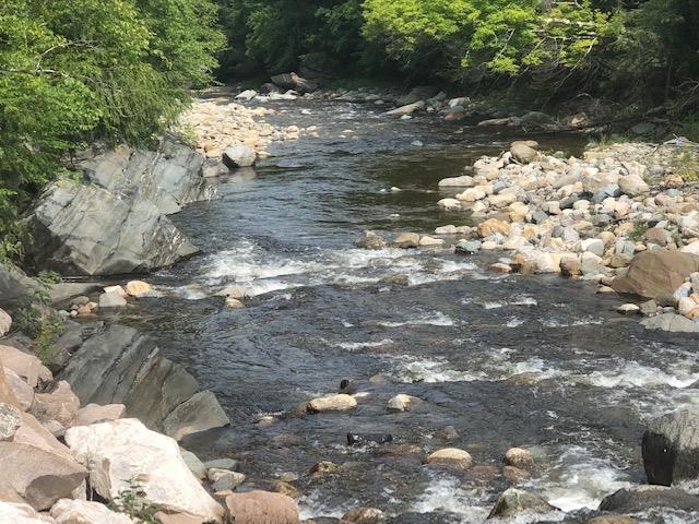 Wild Ammonoosuc Road Bath, NH 03740 - Photo 2 of 26