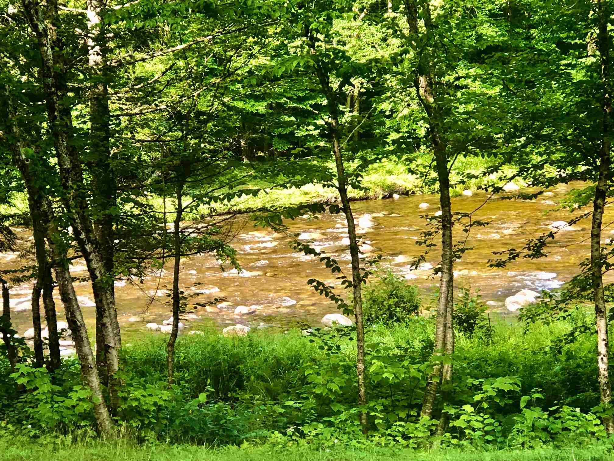 Wild Ammonoosuc Road Bath, NH 03740 - Photo 6 of 26