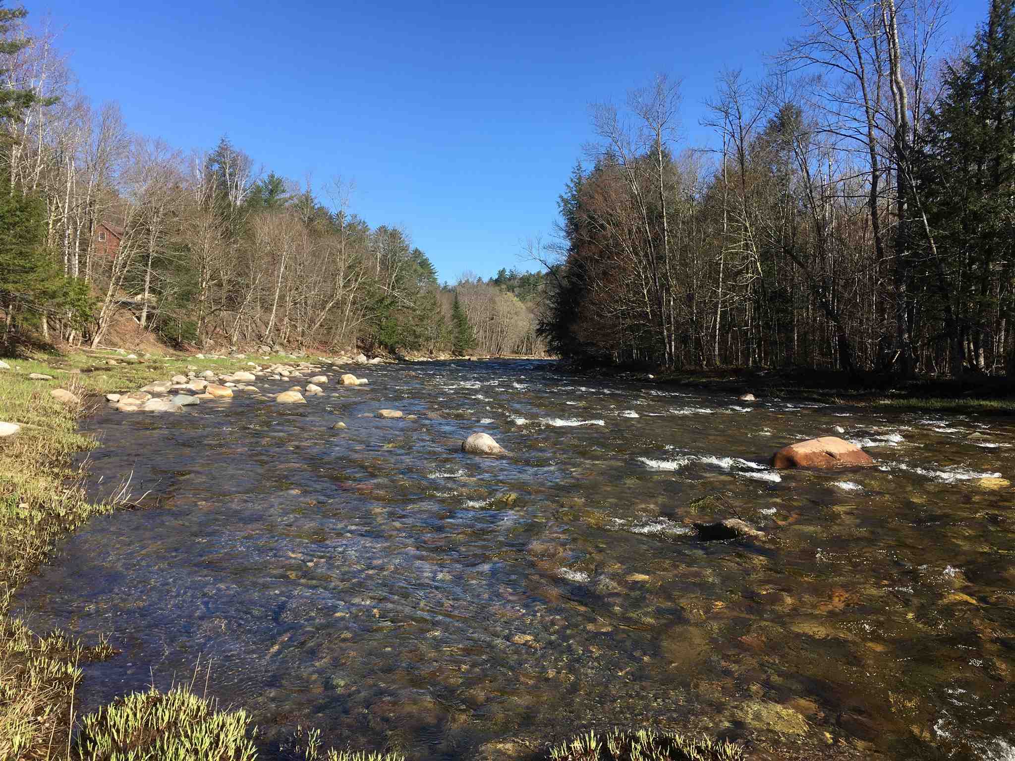 Wild Ammonoosuc Road Bath, NH 03740 - Photo 8 of 26