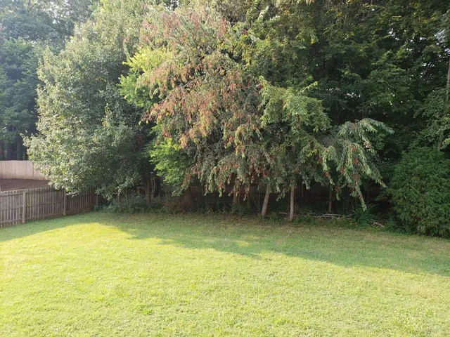 $2,000 | 220 Cheshire Road, Clarksville, TN 37043