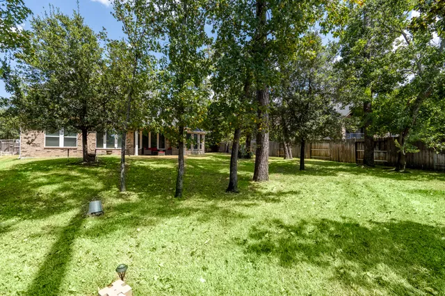 a view of a park with a tree in the background