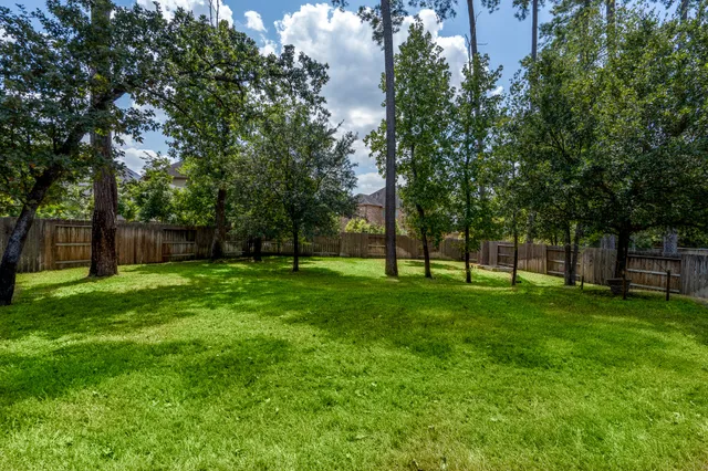 a view of a yard with a large trees