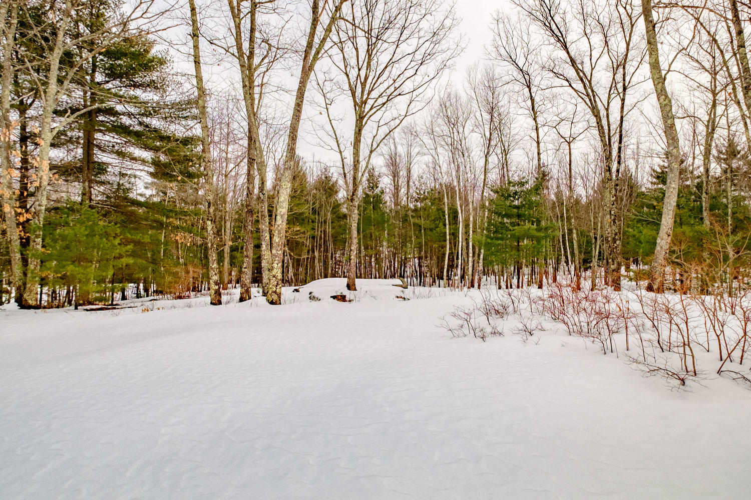 17 Dayton Heights Road Biddeford, ME 04005 - Photo 33 of 40 20190314gp-63077