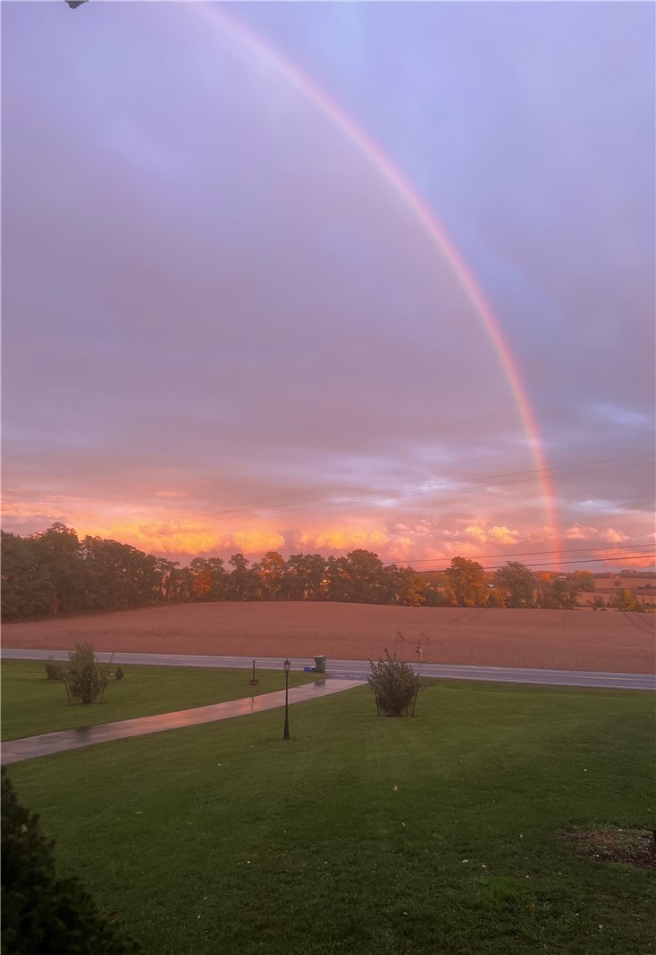 663 Hosmer Road Churchville, NY 14428 - Photo 15 of 42 Imagine this view!!!!