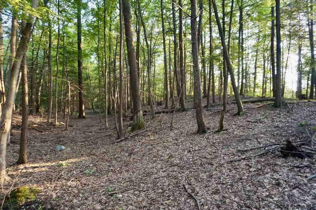 7 Arrowhead Rdg Road Saugerties, NY 12477 - Photo 12 of 19 Photo 14