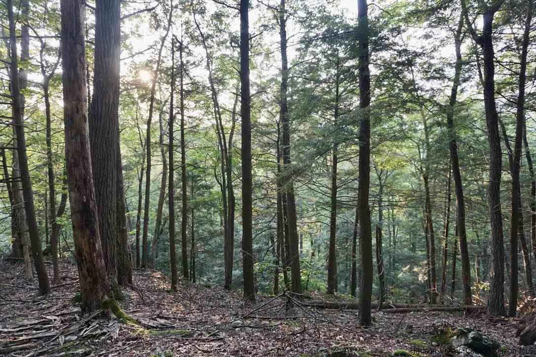 7 Arrowhead Rdg Road Saugerties, NY 12477 - Photo 13 of 19 Photo 15