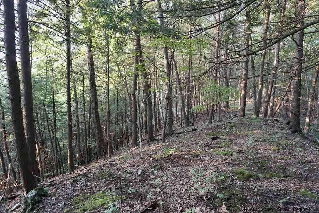 7 Arrowhead Rdg Road Saugerties, NY 12477 - Photo 14 of 19 Photo 16