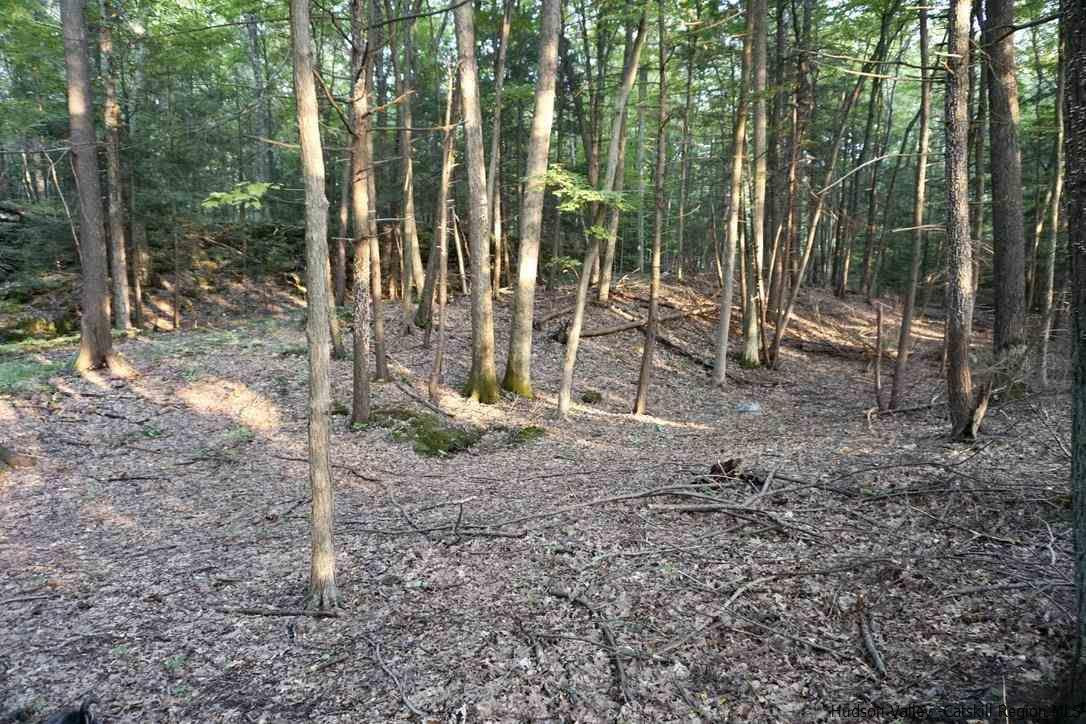 7 Arrowhead Rdg Road Saugerties, NY 12477 - Photo 17 of 19 Photo 19