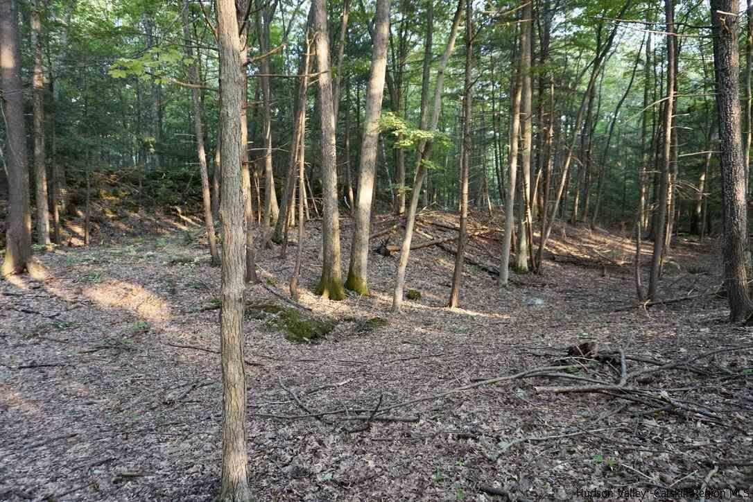 7 Arrowhead Rdg Road Saugerties, NY 12477 - Photo 18 of 19 Photo 20