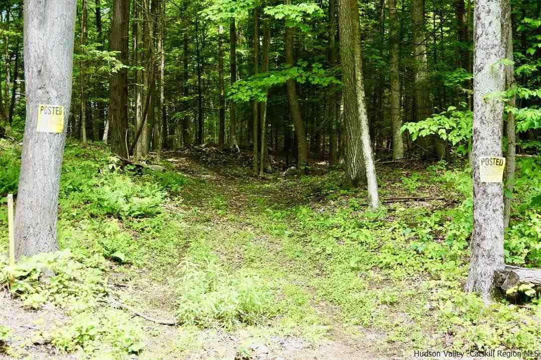 7 Arrowhead Rdg Road Saugerties, NY 12477 - Photo 5 of 19 Photo 7
