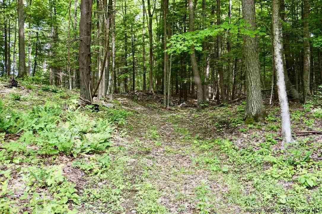 7 Arrowhead Rdg Road Saugerties, NY 12477 - Photo 6 of 19 Photo 8