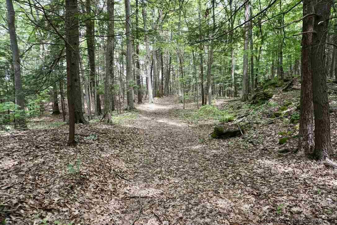 7 Arrowhead Rdg Road Saugerties, NY 12477 - Photo 7 of 19 Photo 9