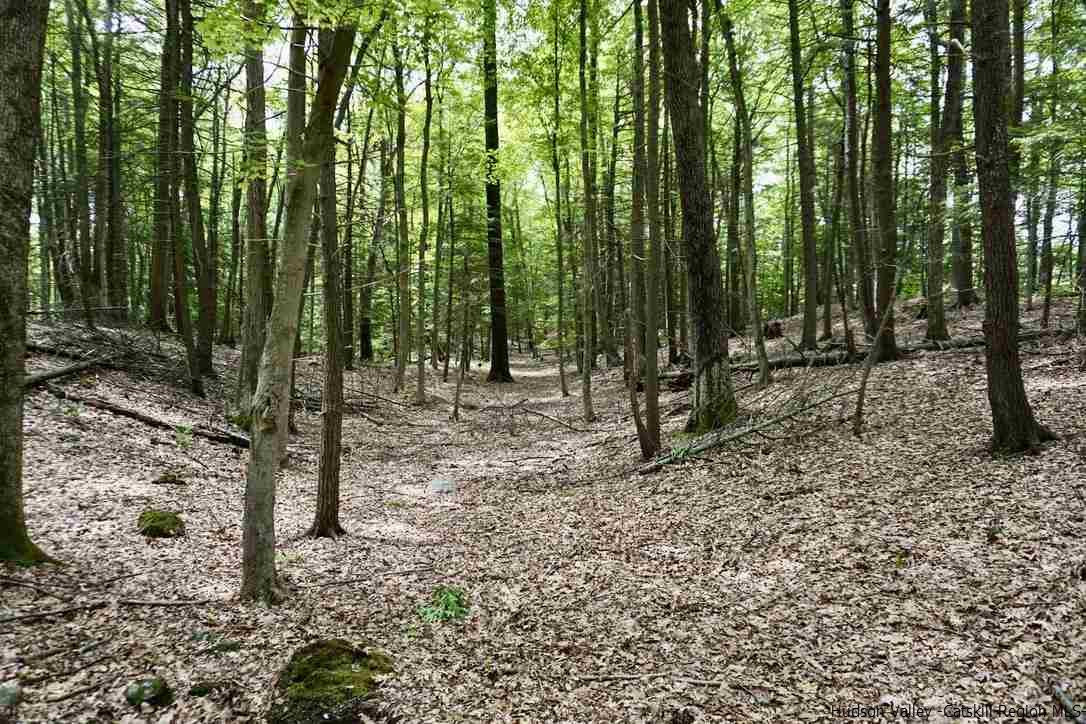 7 Arrowhead Rdg Road Saugerties, NY 12477 - Photo 8 of 19 Photo 10