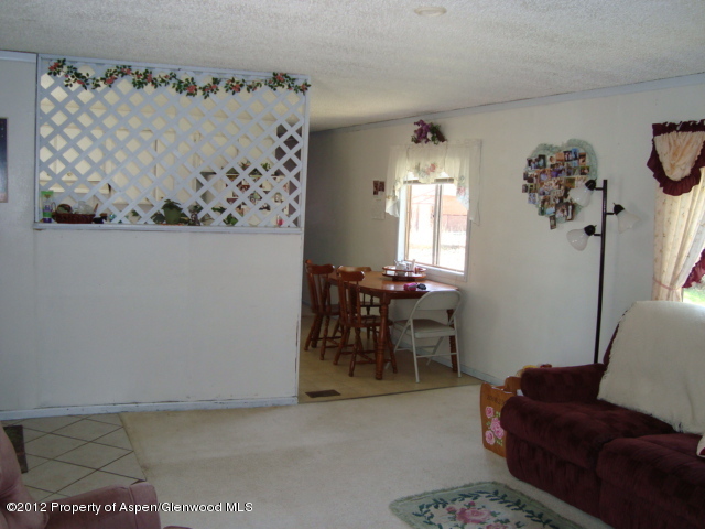 849 Ashley Road Craig, CO 81625 - Photo 3 of 21 DSC02566