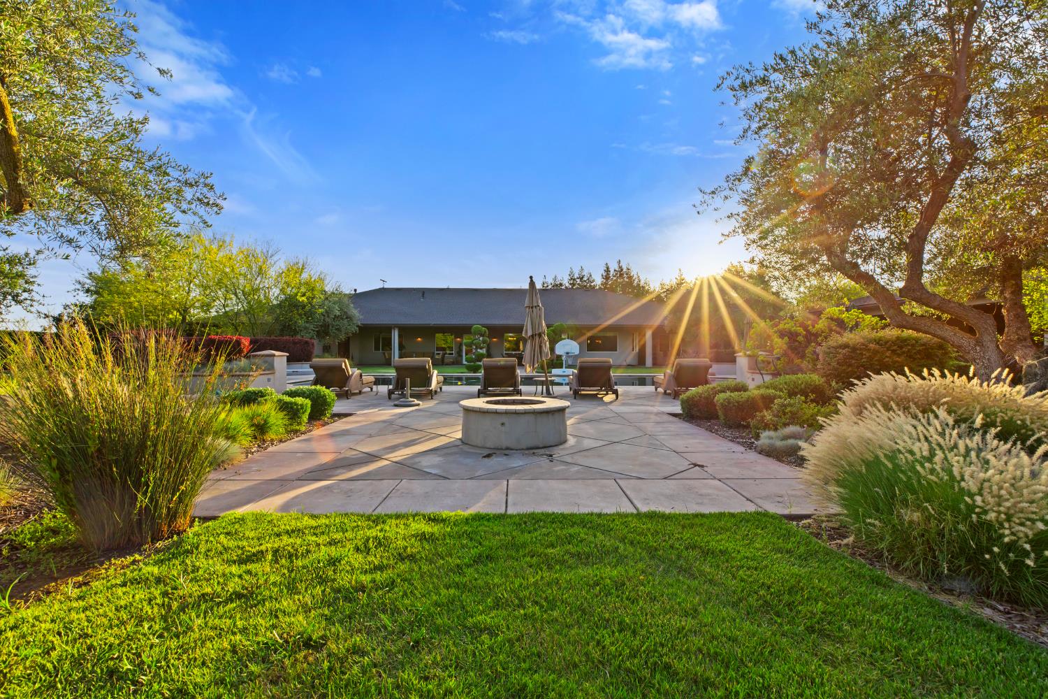 29533 Chapman Way Escalon, CA 95320 - Photo 60 of 99 a view of a backyard with plants and patio