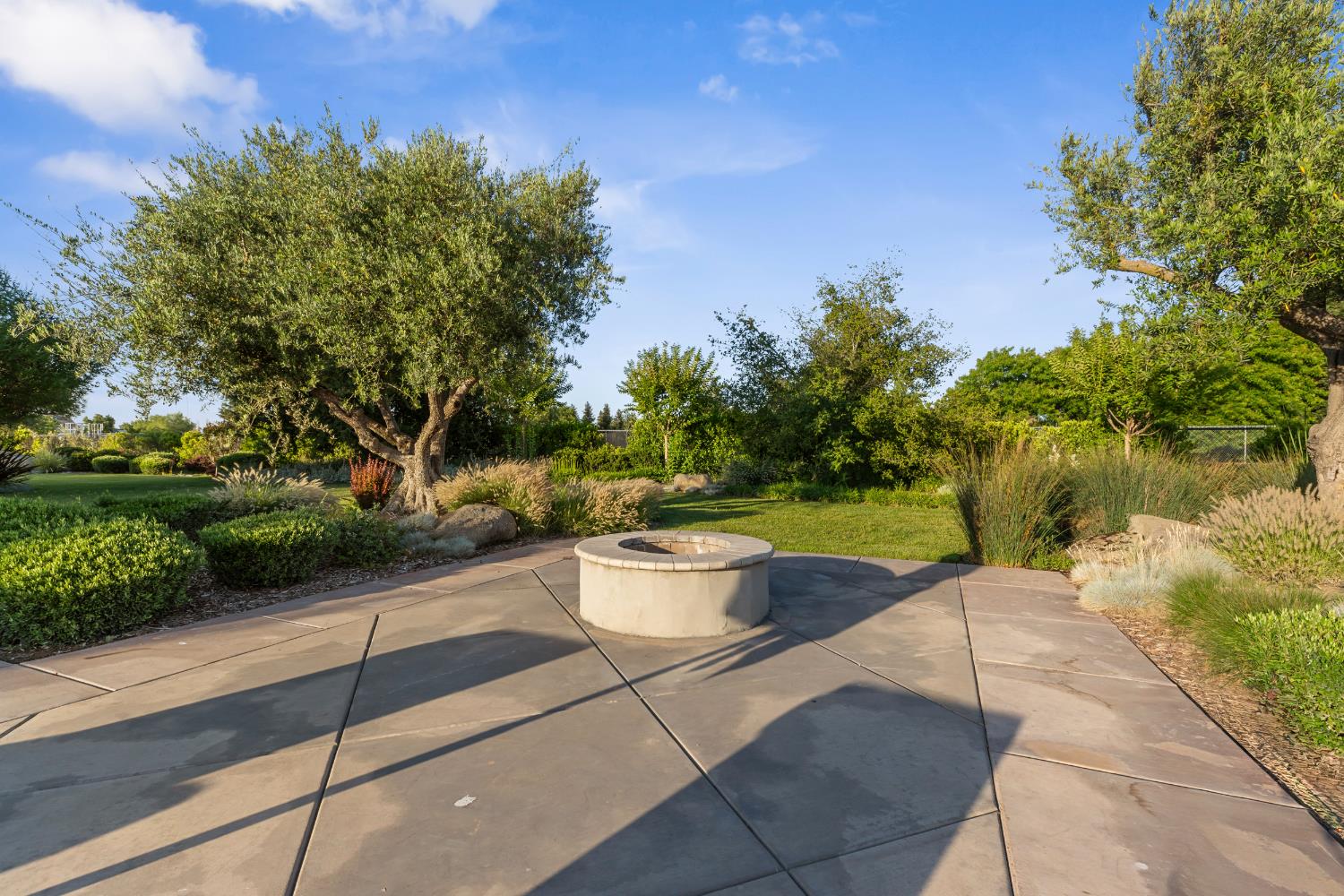 29533 Chapman Way Escalon, CA 95320 - Photo 64 of 99 a view of a backyard with sitting area