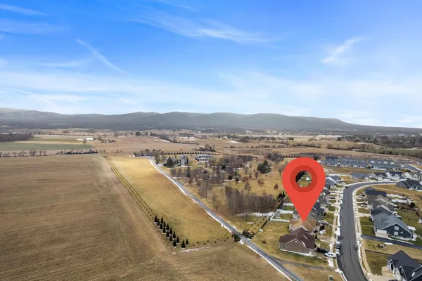 a view of a house with yard and plants