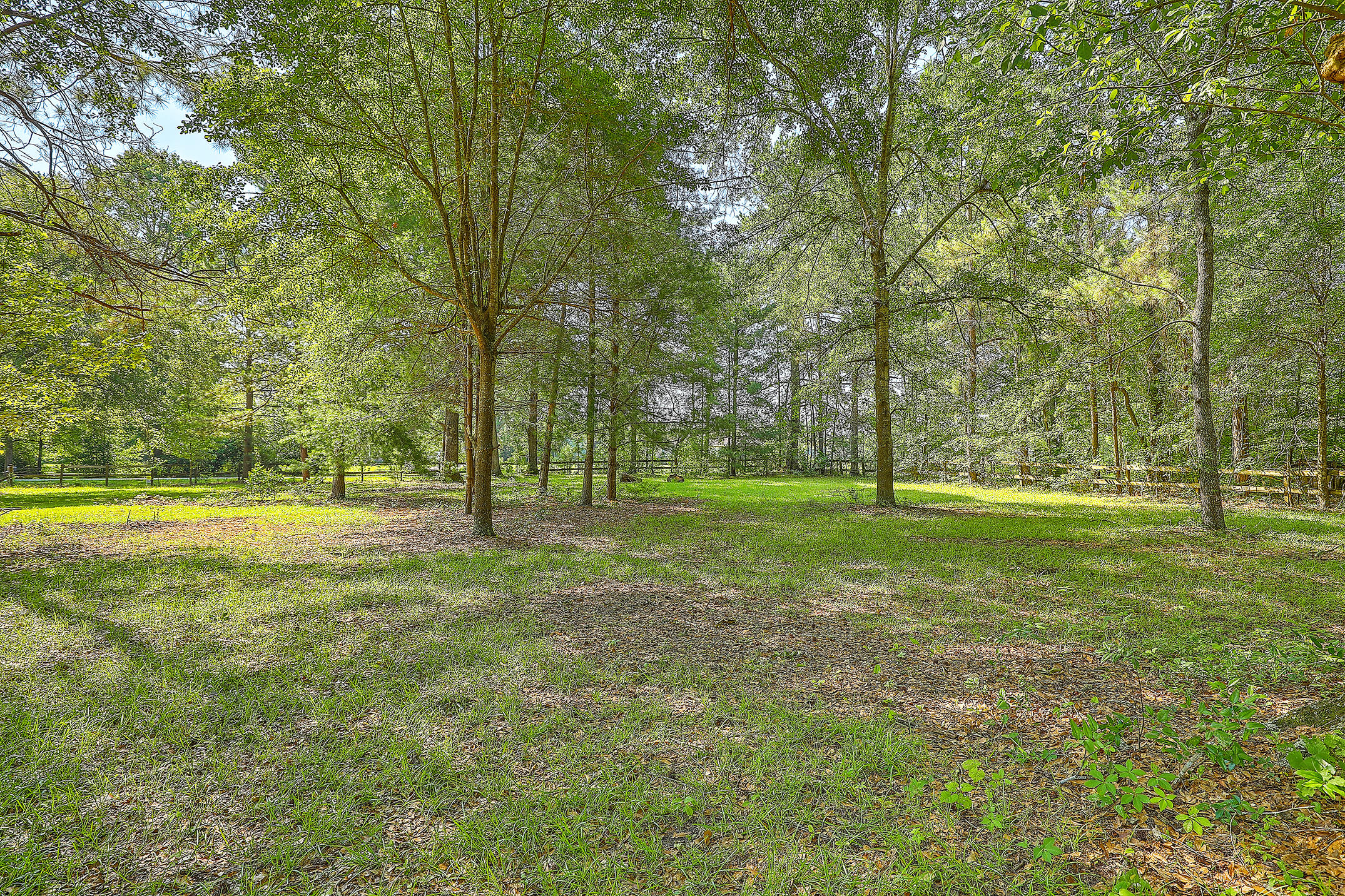319 Academy Road St. George, SC 29477 - Photo 32 of 34 1R3A0622_3_4_5_6_7_8