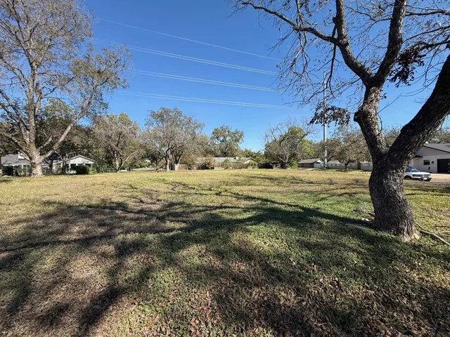 a big yard with lots of green space