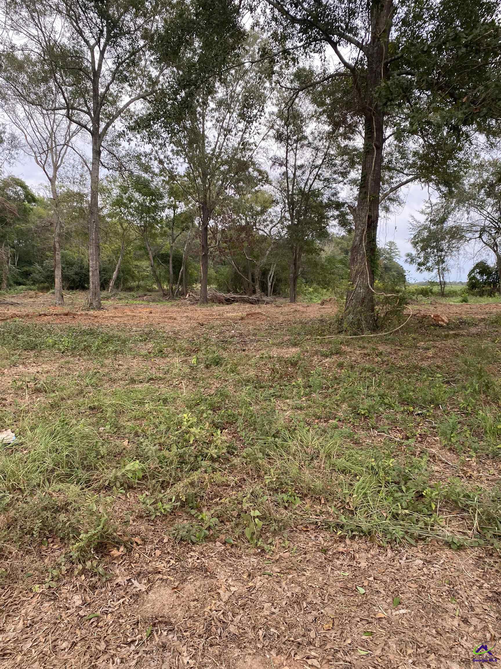 River Ridge Hawkinsville, GA 31036 - Photo 2 of 2