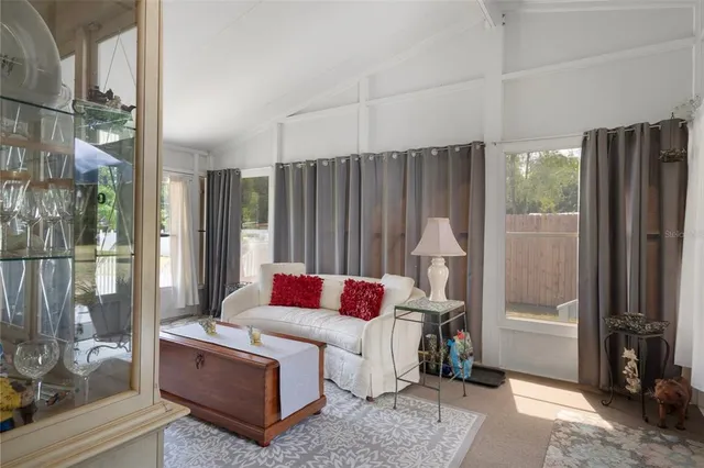 a view of a backyard with plants and large tree