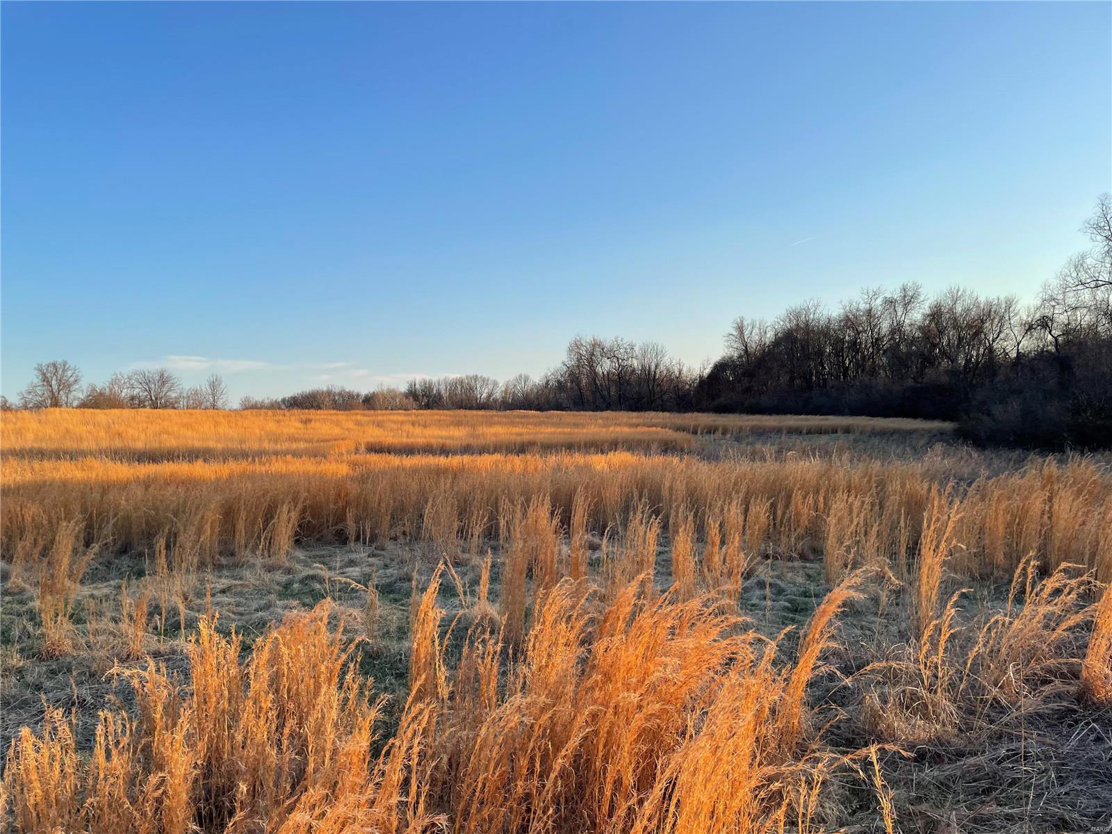 106 Troy Road Collinsville, IL 62234 - Photo 21 of 41 Gallery Image 21