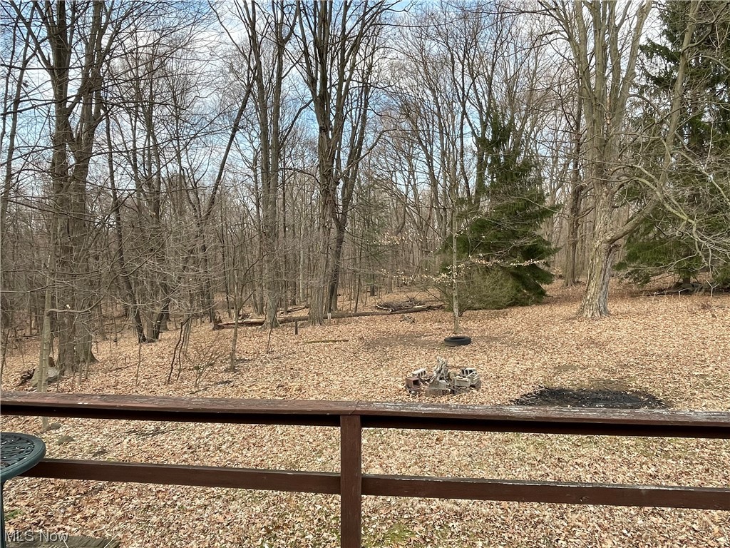 37934 Butcher Road Leetonia, OH 44431 - Photo 6 of 15