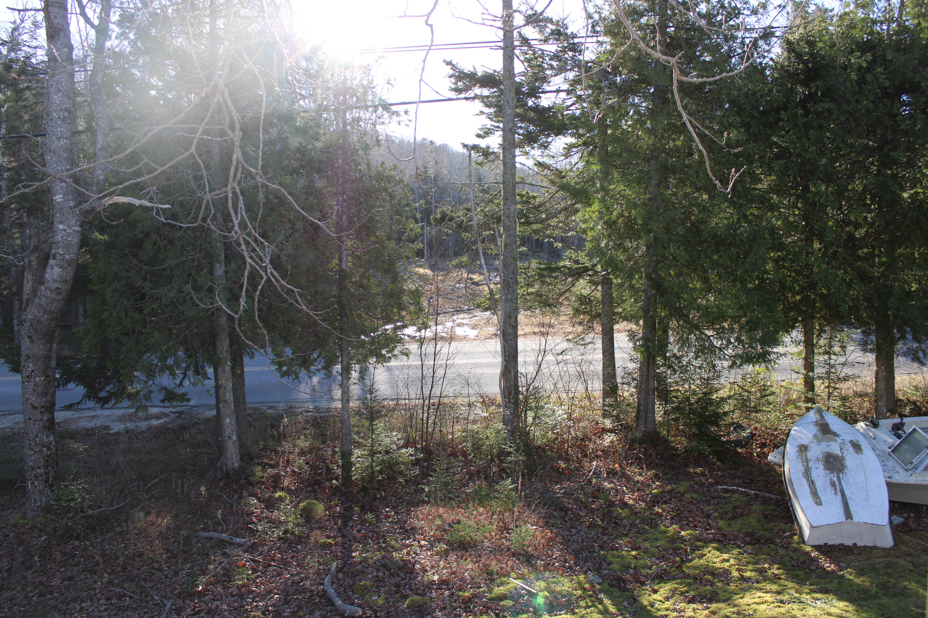808 Port Road Machiasport, ME 04655 - Photo 41 of 43 View to road