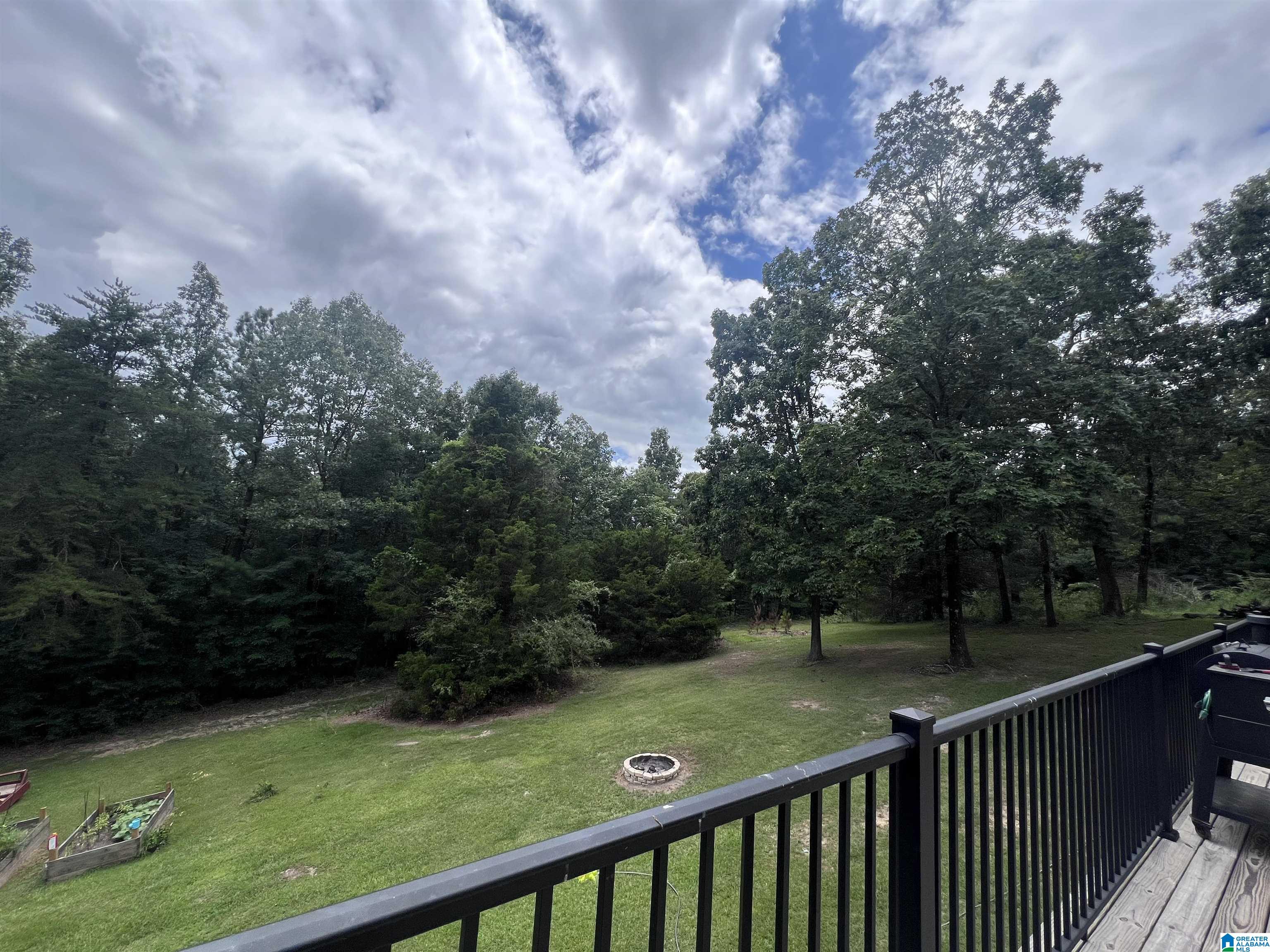 175 Shady Hollow Road Eastaboga, AL 36260 - Photo 48 of 50