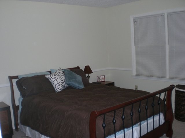 103 Calhoun Street, Unit CHADSWORTH COMMONS 4 Clemson, SC 29631 - Photo 8 of 17 Gallery Image 8