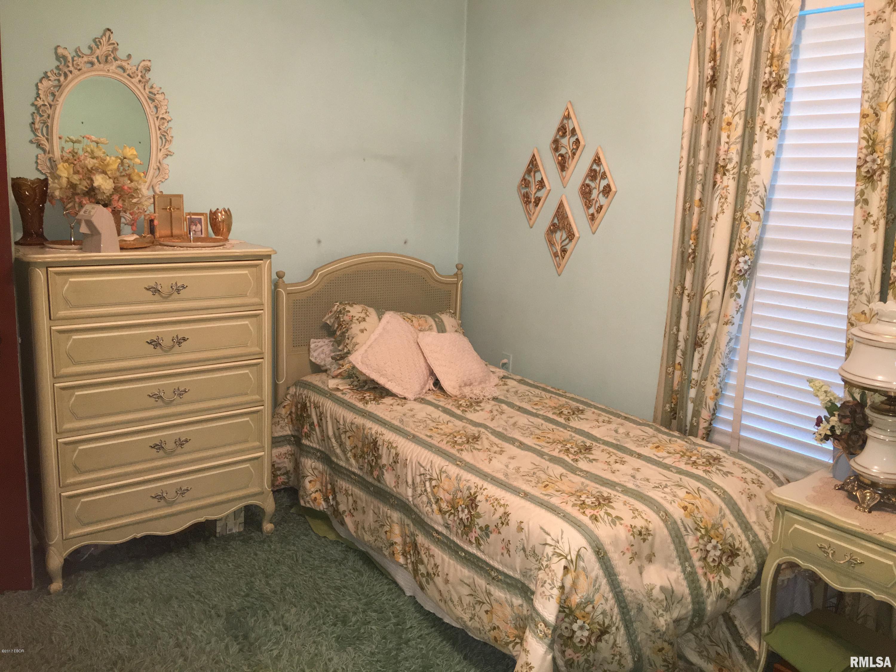 327 Dallas Road Murphysboro, IL 62966 - Photo 7 of 24