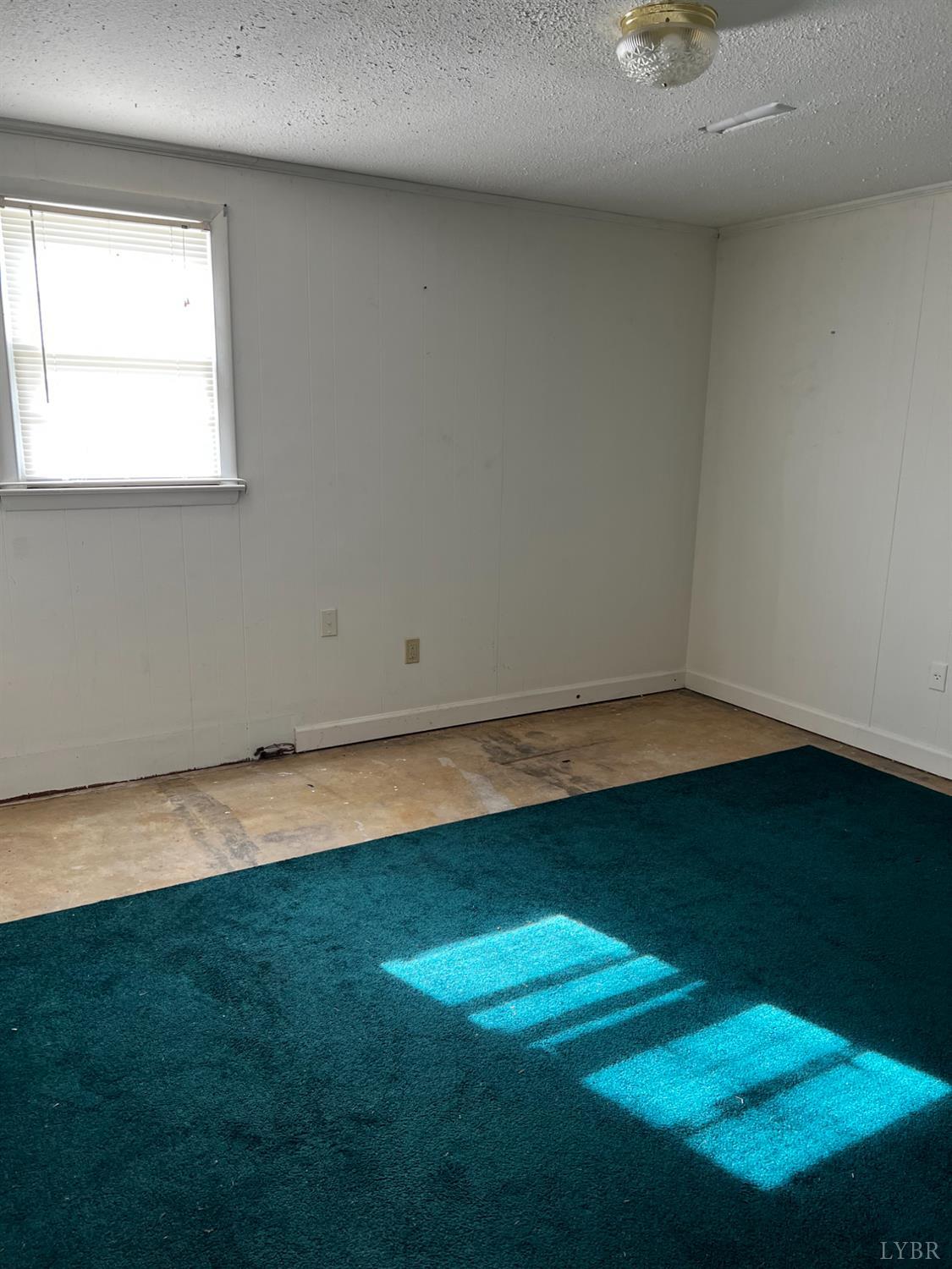 156 Doss Street Altavista, VA 24517 - Photo 12 of 15 an empty room with a yard