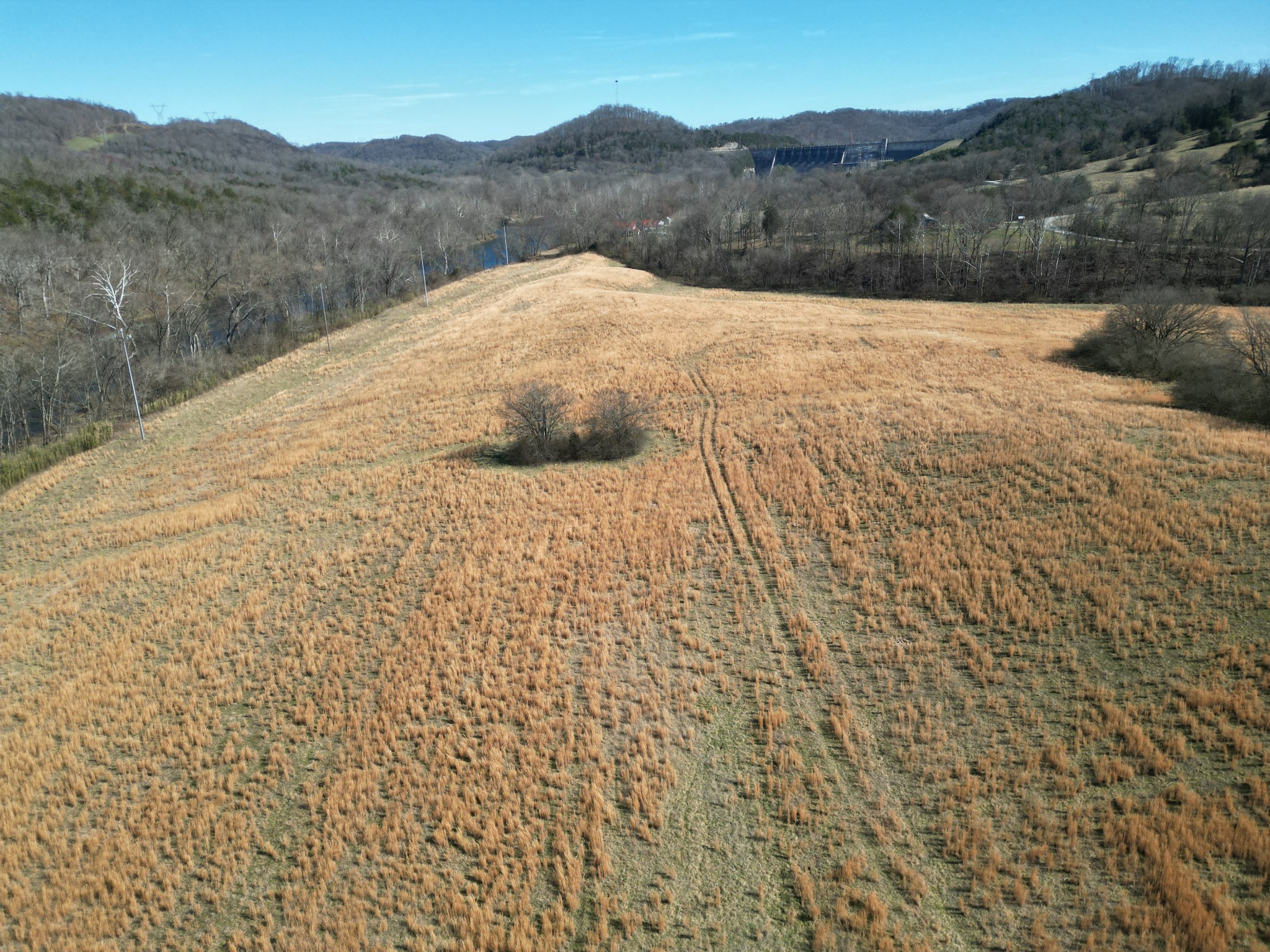 1741 Lancaster Road Lancaster, TN 38569 - Photo 14 of 28 a view of a dry yard with mountains in the background