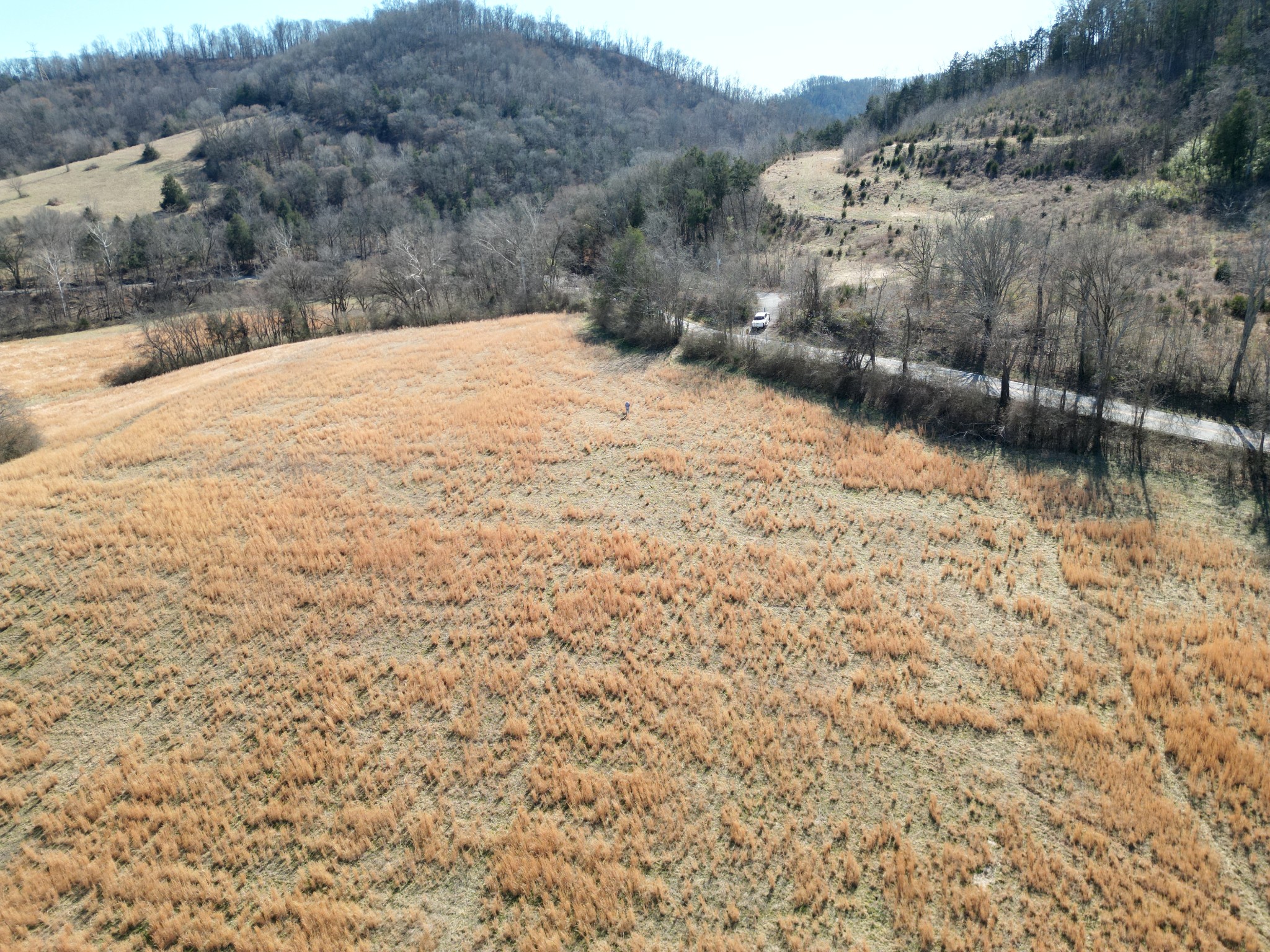 1741 Lancaster Road Lancaster, TN 38569 - Photo 15 of 28 a view of a backyard of a house