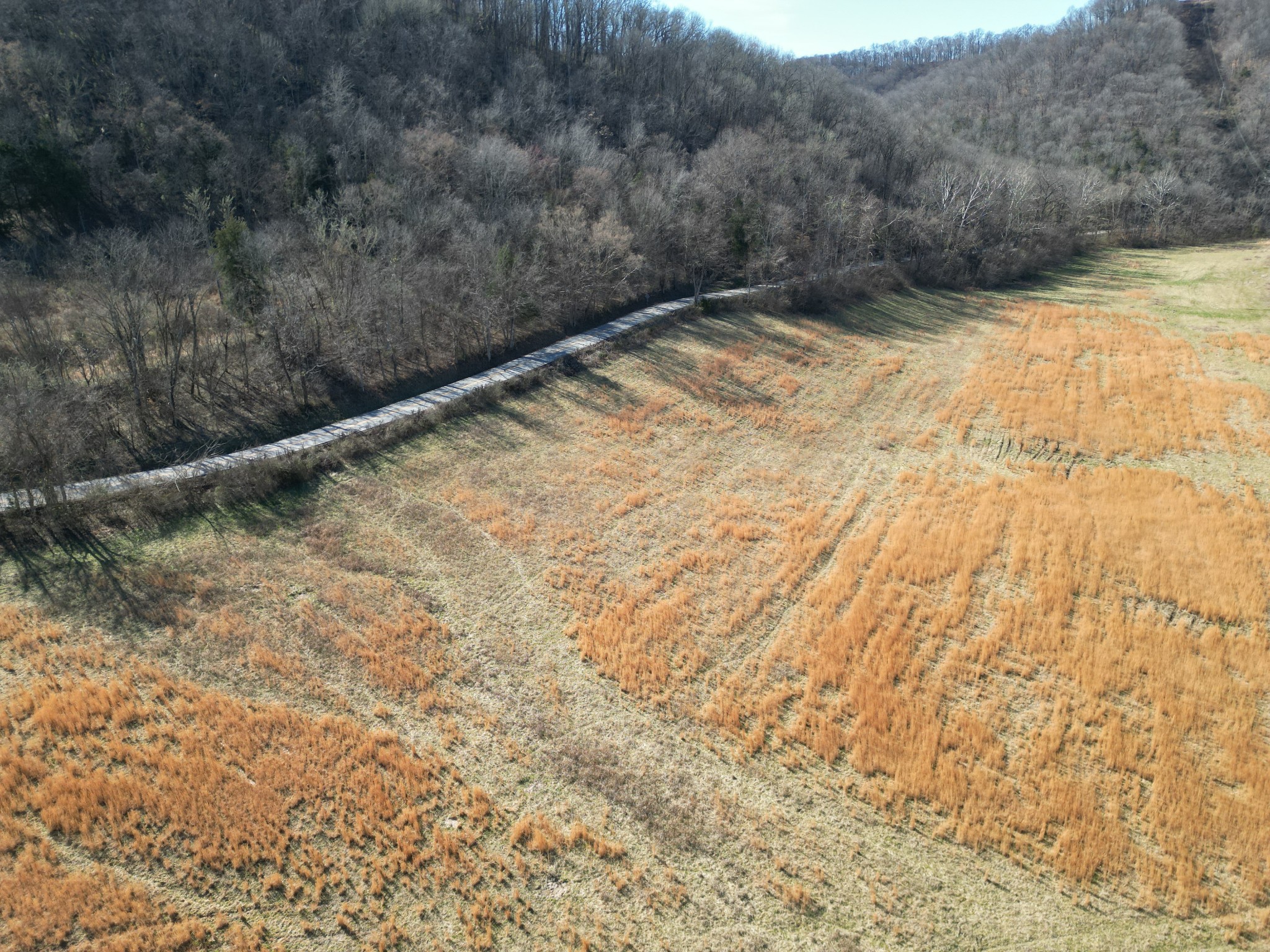 1741 Lancaster Road Lancaster, TN 38569 - Photo 16 of 28 a view of a yard