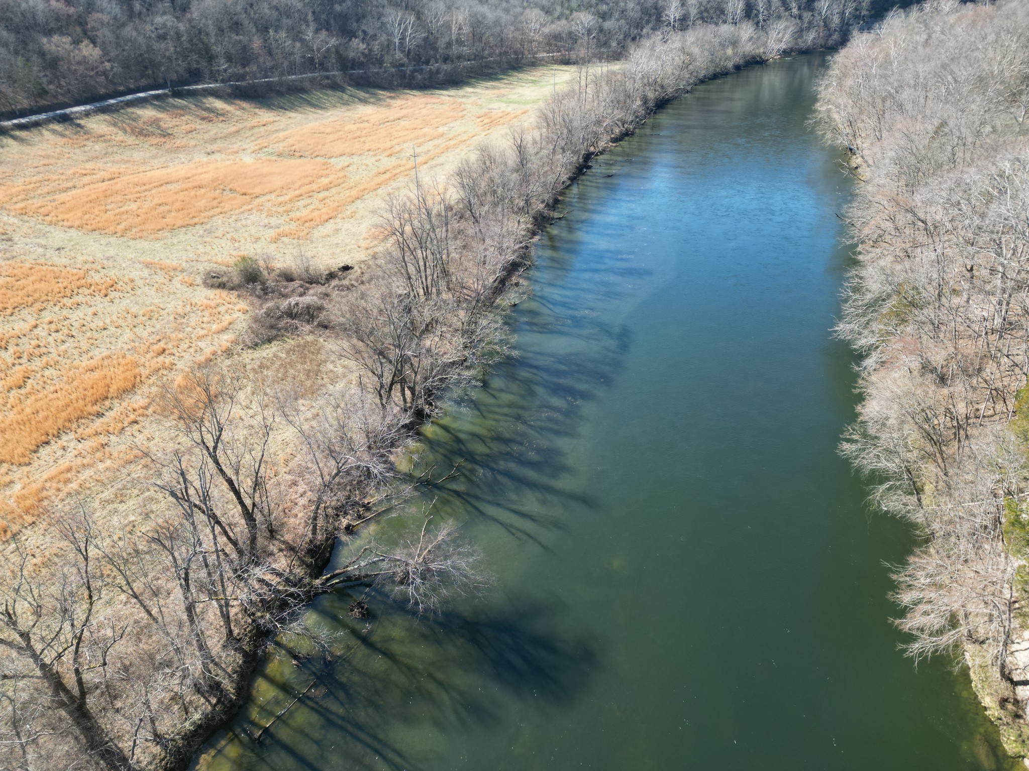 1741 Lancaster Road Lancaster, TN 38569 - Photo 24 of 28 a view of water pond with trees