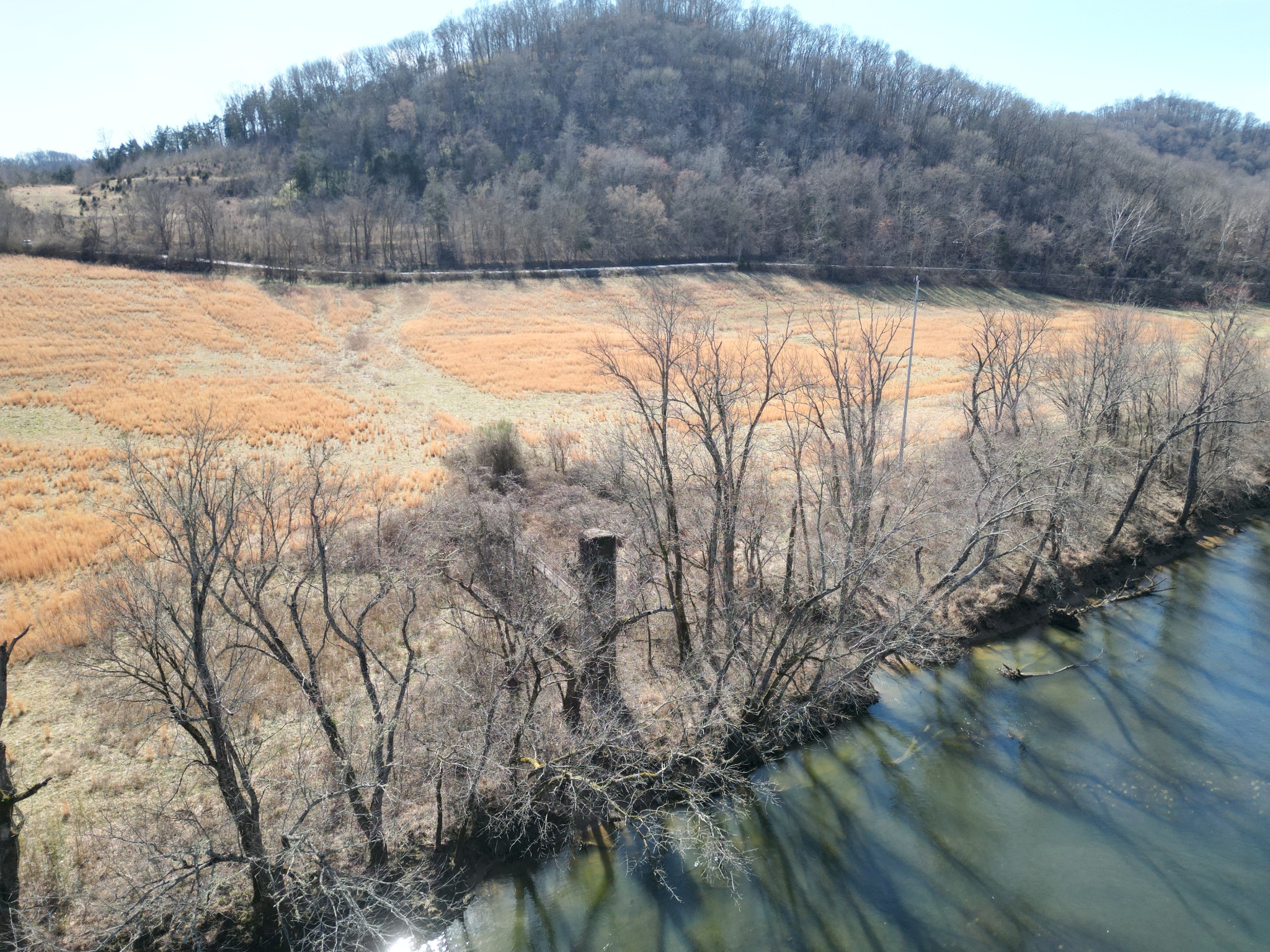 1741 Lancaster Road Lancaster, TN 38569 - Photo 26 of 28 a view of backyard and tree