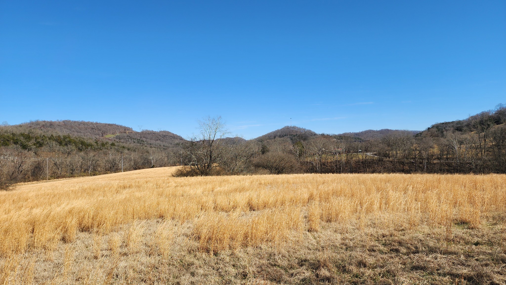 1741 Lancaster Road Lancaster, TN 38569 - Photo 3 of 28 a view of lake with mountain