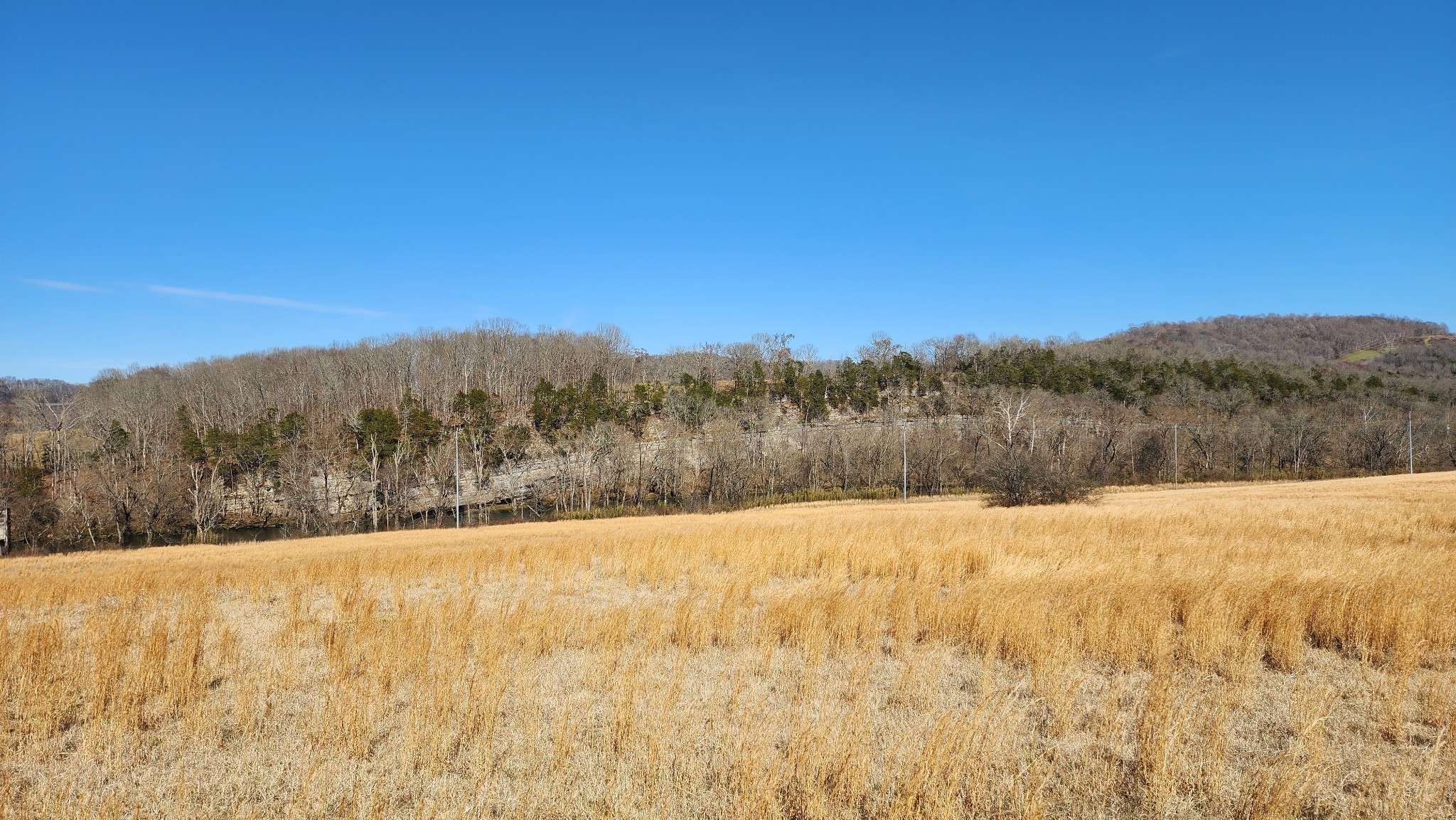 1741 Lancaster Road Lancaster, TN 38569 - Photo 4 of 28 a view of mountain with a yard