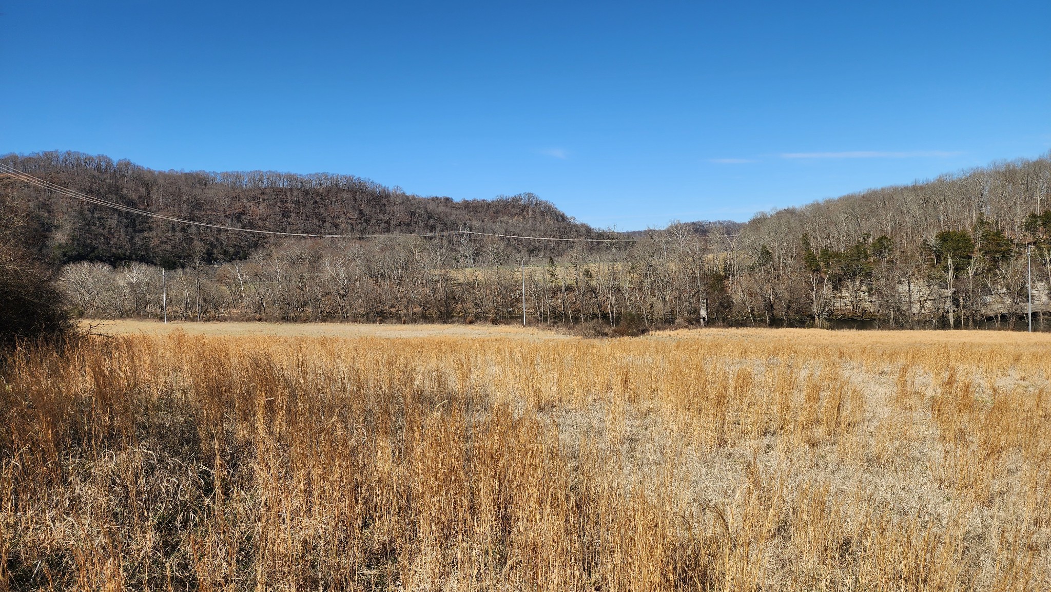 1741 Lancaster Road Lancaster, TN 38569 - Photo 5 of 28 a view of a yard