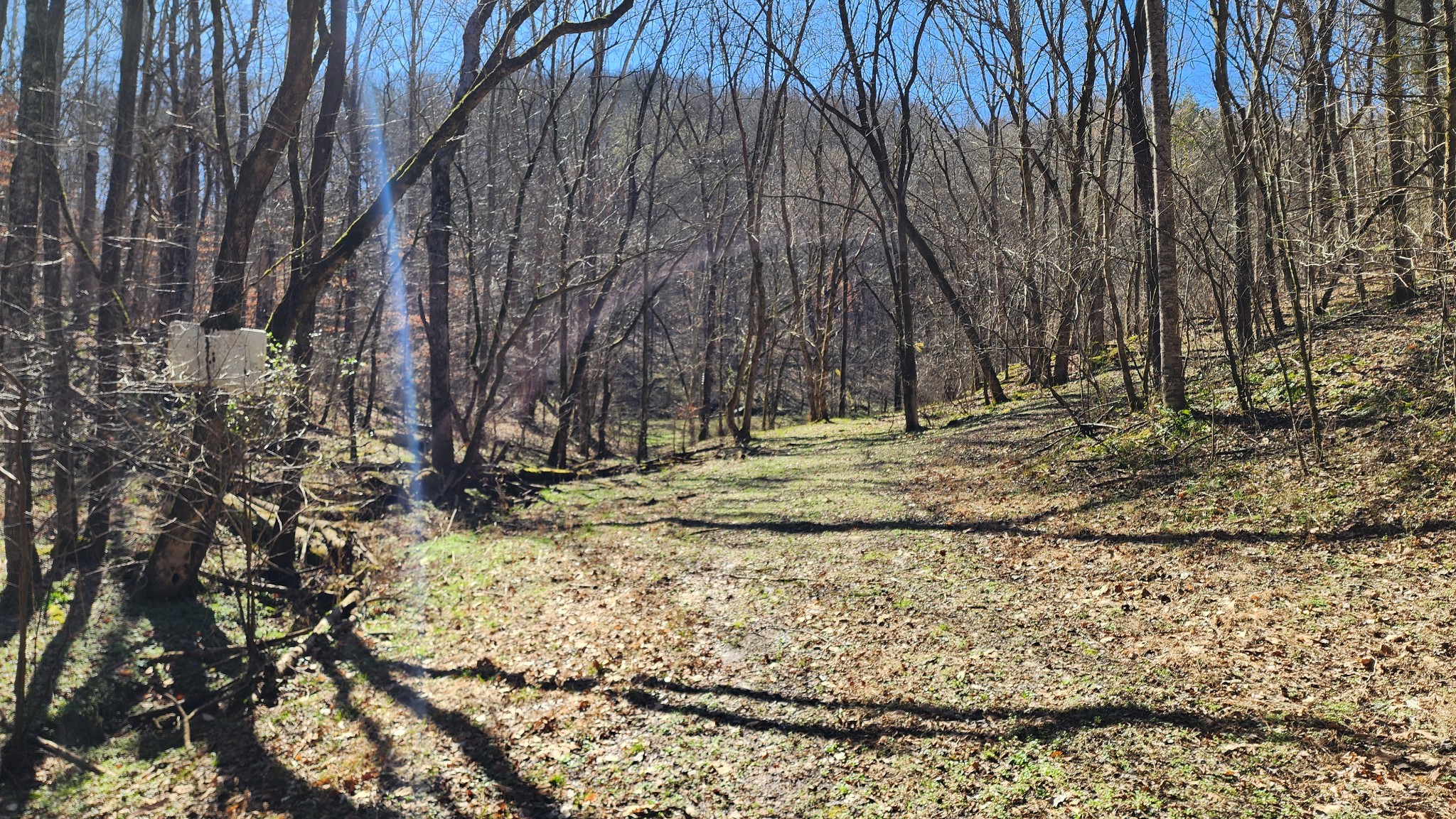 1741 Lancaster Road Lancaster, TN 38569 - Photo 6 of 28 a view of a backyard with green space